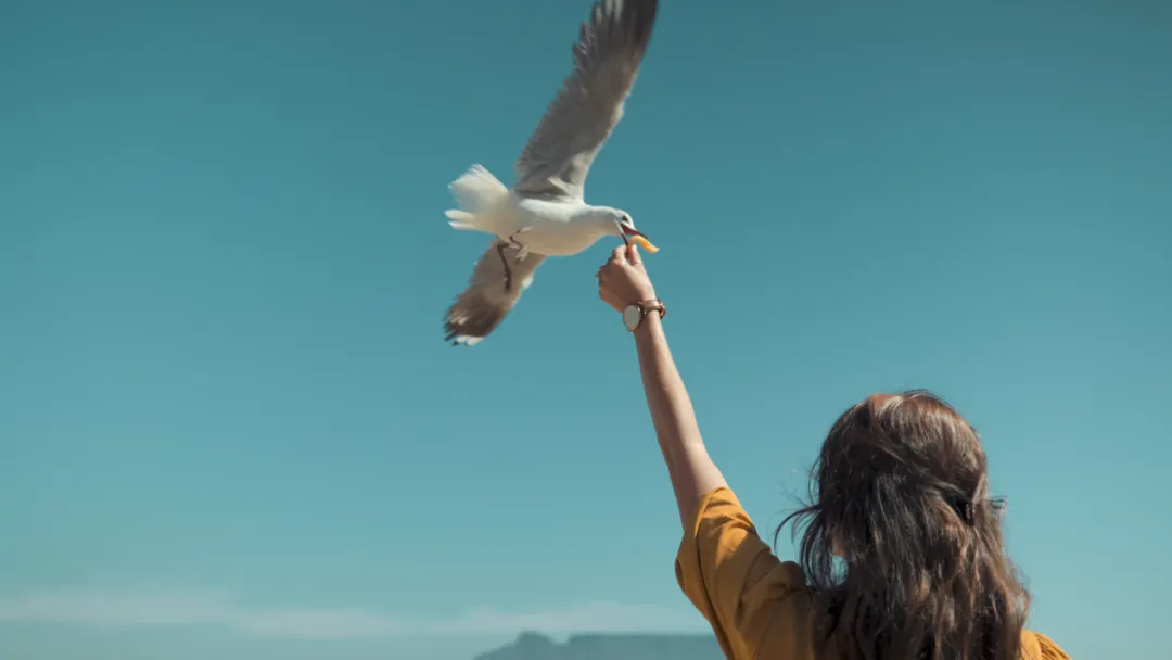 新的一年，養成6個好習慣