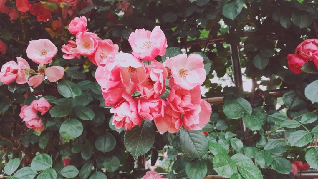 經典文章 ▏自省的力量